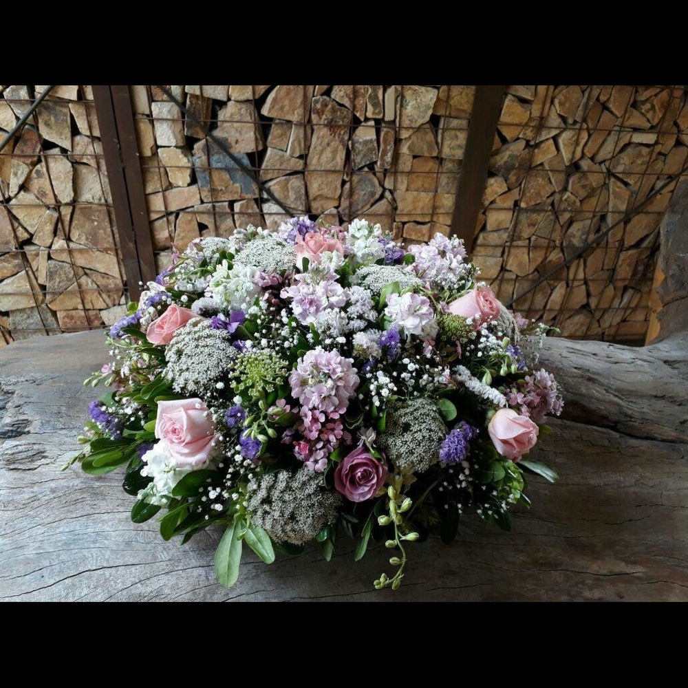 Meet your Posher, Cecilia